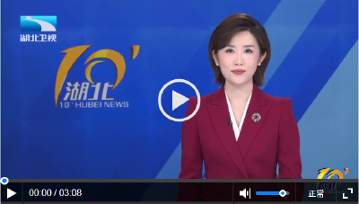 读报告 话“支点” | 对外开放 对内协调 抢抓多重叠加机遇