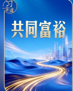 总书记的两会关切丨四到江苏团，习近平都提到共同富裕