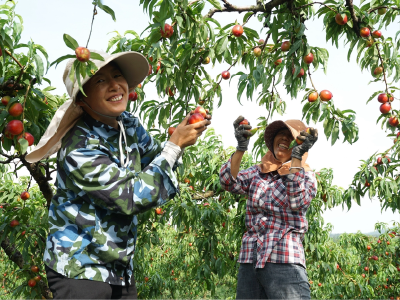 不要做官当老爷