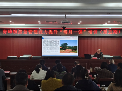 青峰镇：开展应急管理能力提升  “每月一课”培训(第五期)