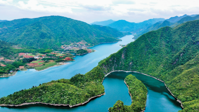 从货车司机到职业农民，返乡创业者邵荣兵—— 在故土“种”出幸福新生活