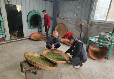 姚坪乡：代表给力  茶业受益