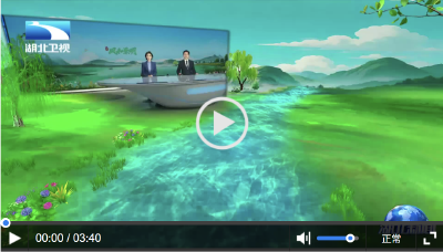 90年，山河永念 | 集结大别山 长征先遣启征途