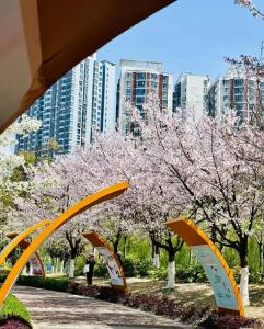 新思想引领新征程丨多业态融合发展 激活文旅产业新动能