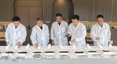 房县第五届“神农贡”茶王争霸赛评审工作完成