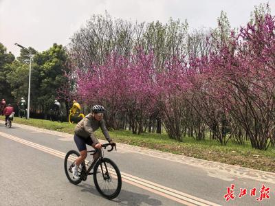 城市密码 | 你知道汉口怎么“长大”的吗？答案就在这条堤上