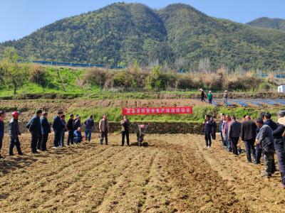 追风长江畔，枝江何以全国首站？