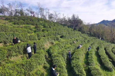 养老服务师的三次落泪