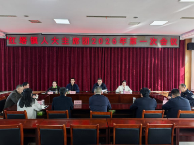 红塔镇人大：深学代表法 赋能履职路