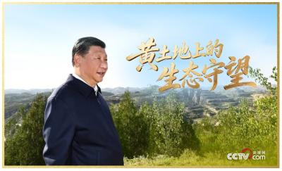 人民领袖｜黄土地上的生态守望