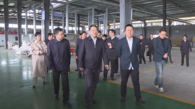 智汇故里 链动未来！黄梅“院士家乡行”背后的产才融合实践