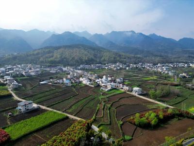 沃野涌动科技潮 ——房县城关镇智慧农业绘出乡村振兴新图景