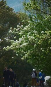 微视频｜总书记与春天的绿色约定