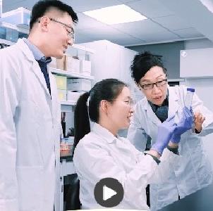 一习话丨“培养更多适应高质量发展、高水平自立自强的各类人才”