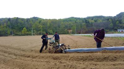 房县：农机服务助力春季农业生产