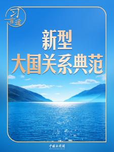习近平谈中东局势