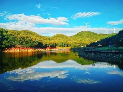 青峰镇“中医药文化夜市”点亮群众夜生活