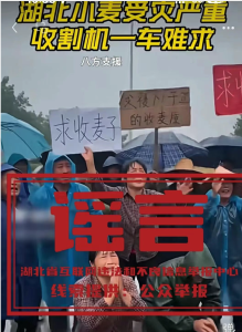 造谣“湖北小麦受灾”，一男子被警方行政处罚
