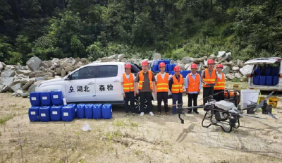 房县启动万亩松林绿色防控  无人机喷施联邦121筑牢松林生态屏障