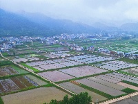 阡陌纵横，良田万顷