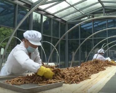 我县新增一家生物医药产业院士专家工作站