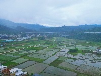 阡陌纵横，良田万顷