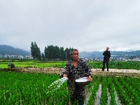 阡陌纵横，良田万顷