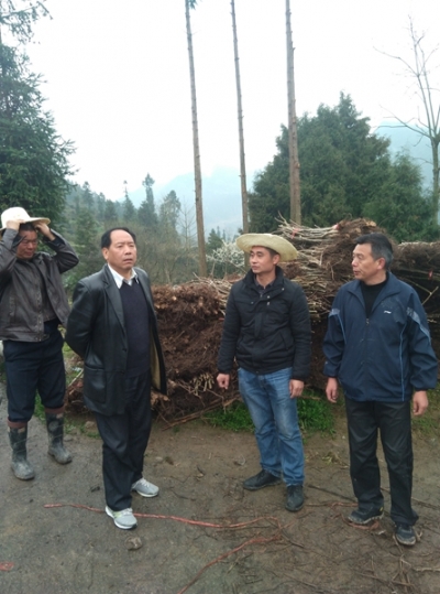 州政协机关助力贫困村春耕生产