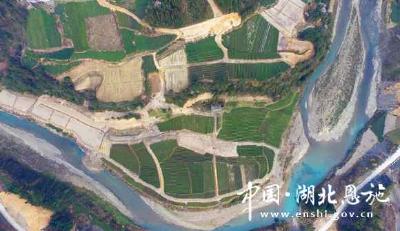 打造旅游观光体验茶园