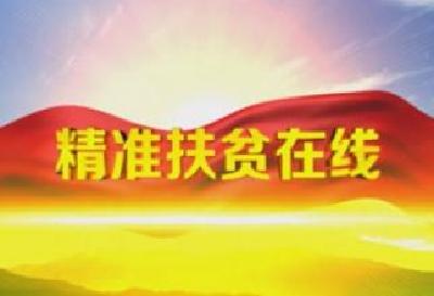 恩施州精准扶贫产业发展规划编制完成
