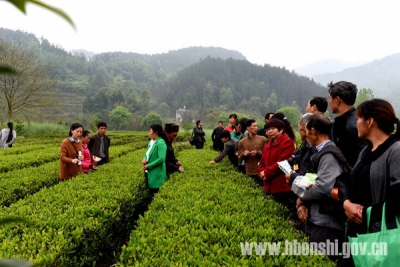 恩施市开展促春耕助推扶贫活动