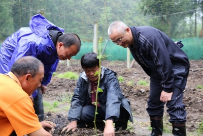 恩施州药办：瓜蒌入住瓦场坝