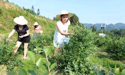 咸丰高乐山着力打造蛮台子乡村旅游新景点