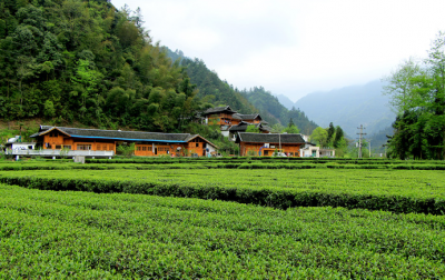 王海涛：用真心动真情开展回乡回访办实事具体事带好一方风气