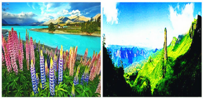 恩施州与新西兰怀马卡里里市缔结为国际姊妹城市