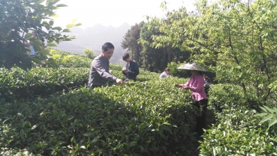 州规划局开展第一批“不忘初心·永跟党走”返乡走访