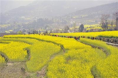  巴东县东瀼口 “三园”秀色关不住
