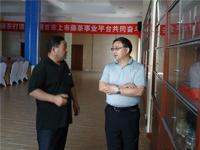 戴清堂到来凤凤雅藤茶公司调研