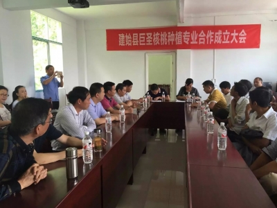 引进企业带动苏家坪产业发展