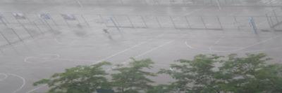 暴风雨中迎