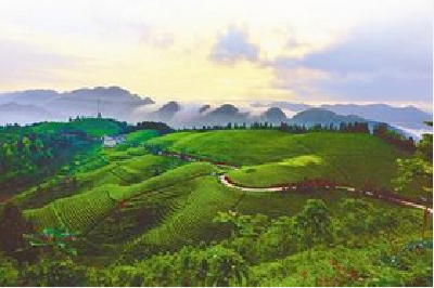 恩施州3个省级重点成长型产业集群加快发展