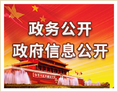 恩施州政府电子政务办创新性开展政务公开工作  打造阳光、透明、效能型政府