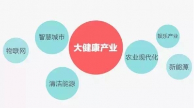 恩施州政府第五十次常务会议 研究部署大健康产业