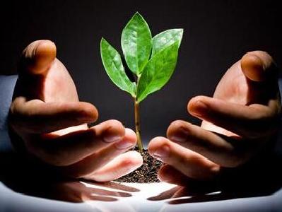 恩施州政府研究部署大健康产业建设等工作