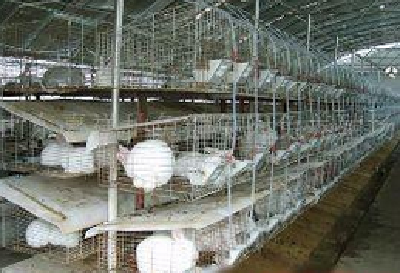 恩施州科技局：算好脱贫账 找准致富路