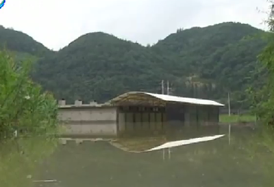 视频 | 鹤峰燕子大长汨：洪水消退缓慢 村民损失严重