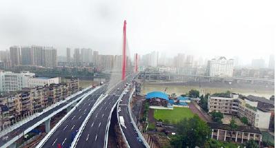 宜昌至喜长江大桥通车 建桥方案曾两次“让路”中华鲟