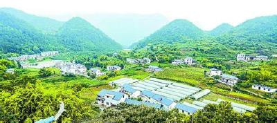 恩施州上半年农业增幅居湖北省首位