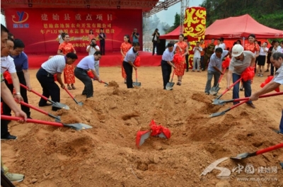 建始万吨脱水蔬菜加工项目开建 拉长蔬菜产业链