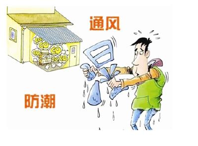 梅雨季节如何防霉